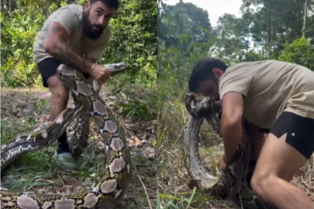 Animal Viral Video