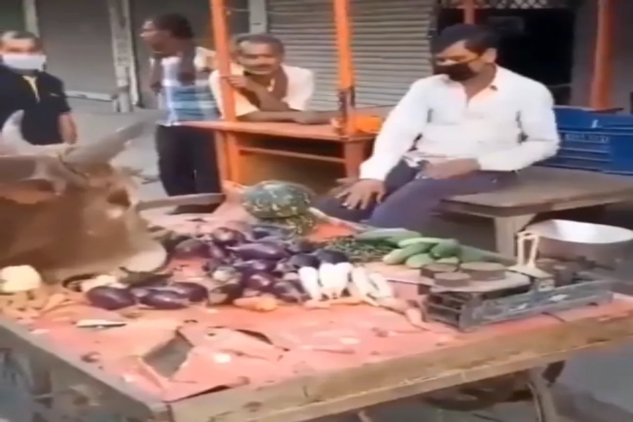 Viral Video