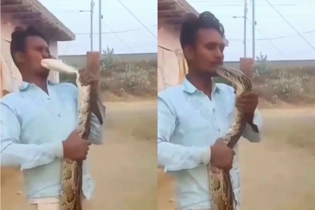 Viral Video