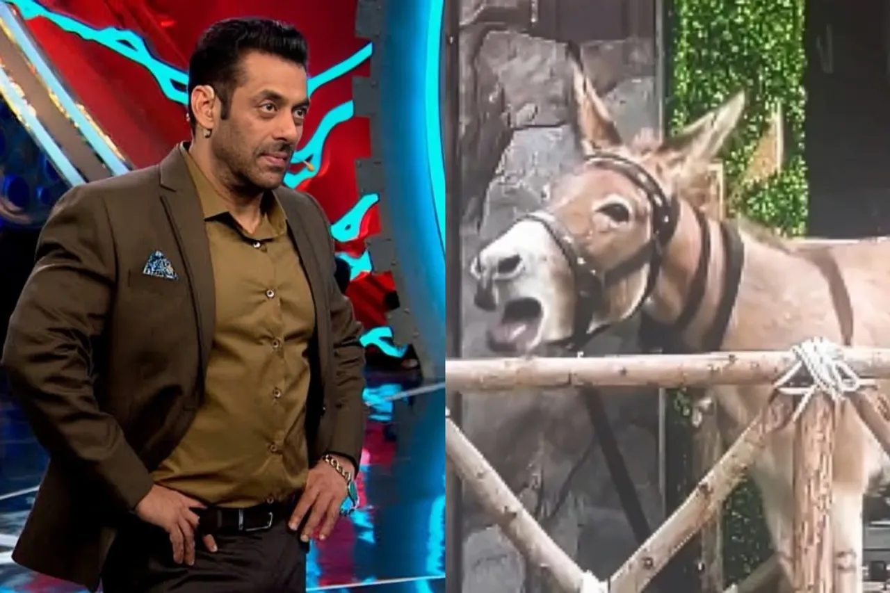 Bigg Boss 18