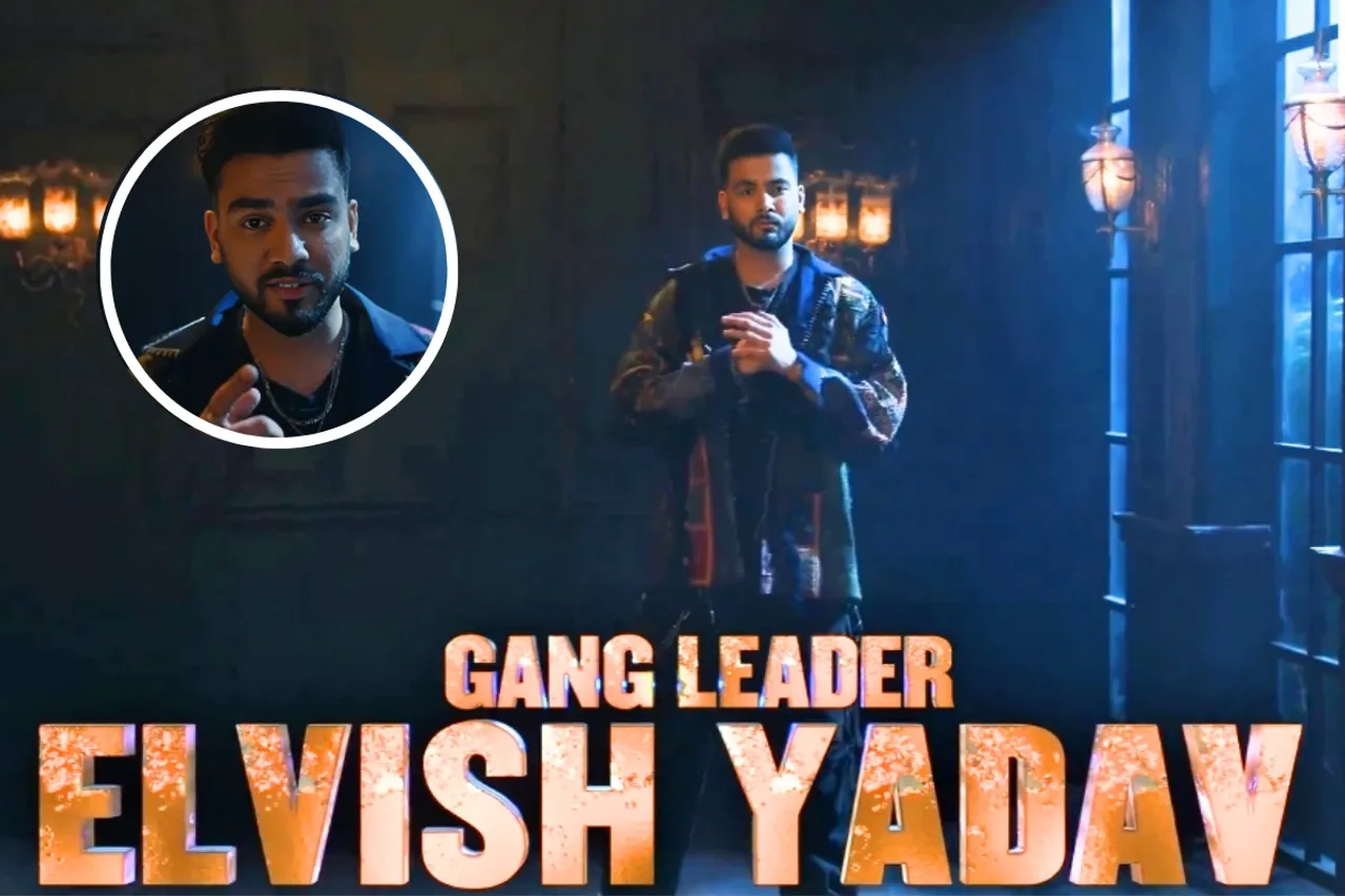 MTV Roadies XX