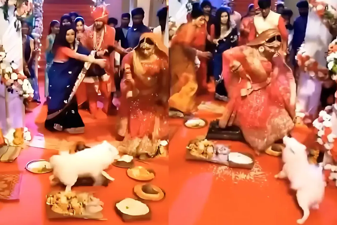 Bride Groom Viral Video