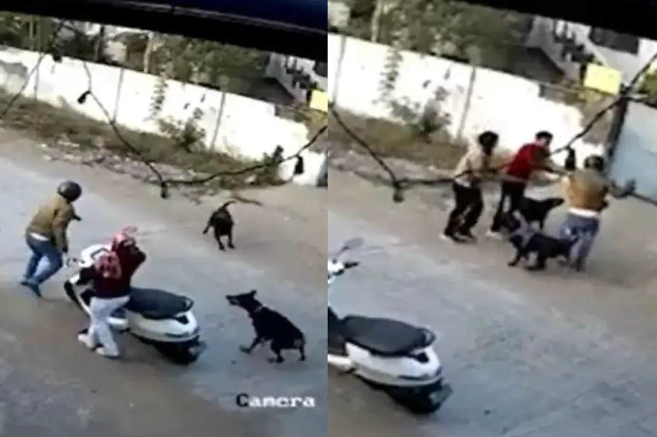 Bhopal Viral Video