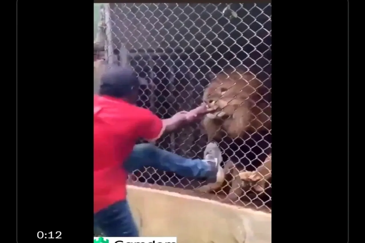 Viral video