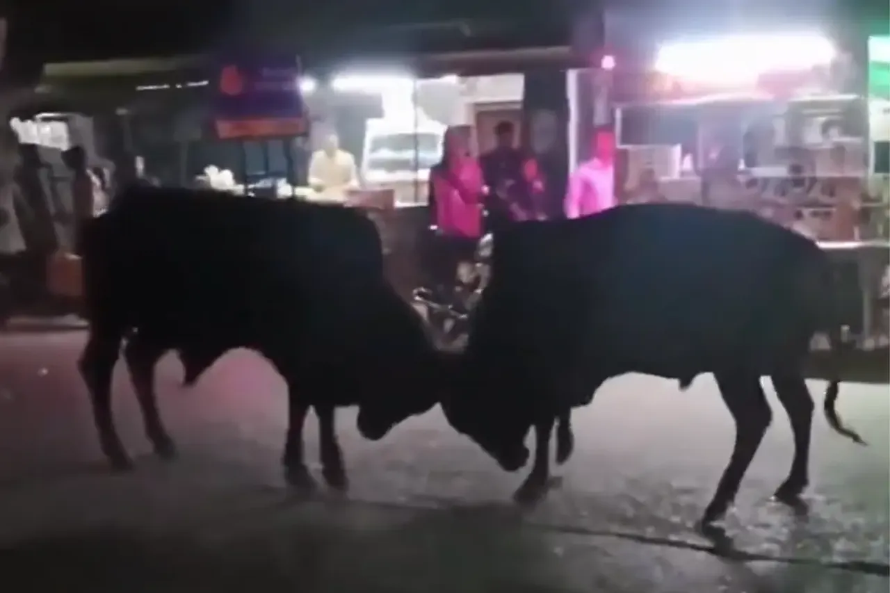 Kannauj Viral Video