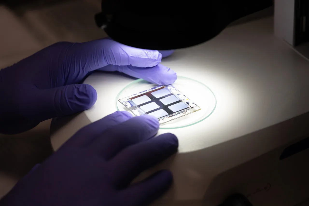 Perovskite Hunt