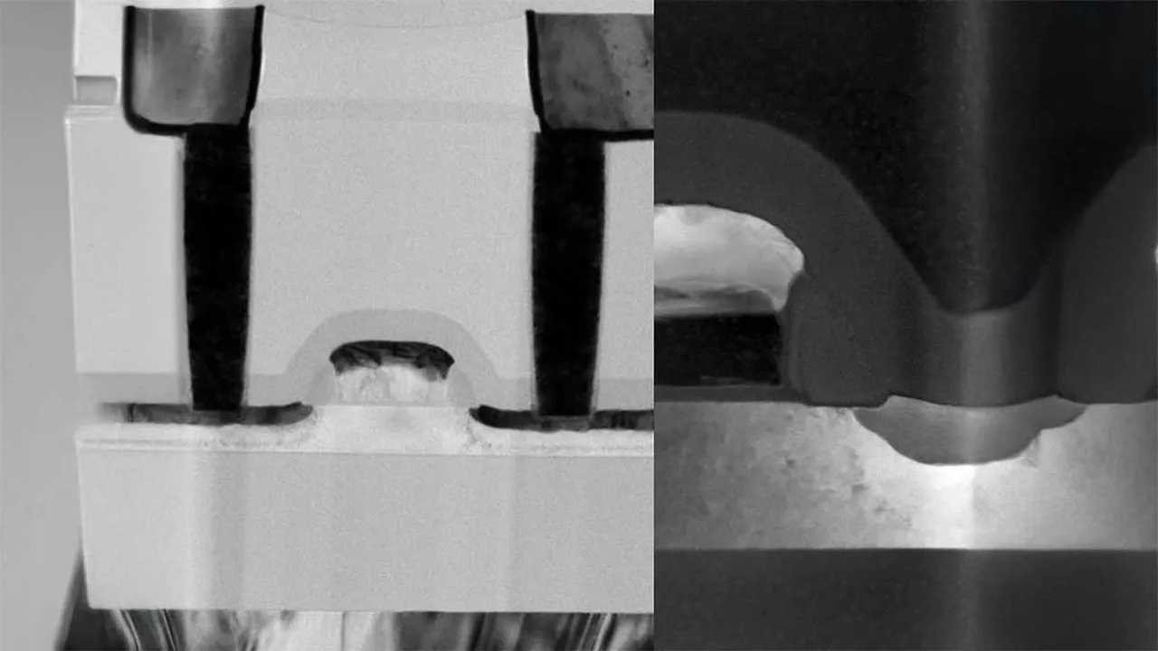 Joint-work-shows-next-generations