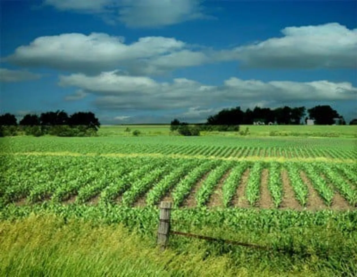 Smart farming