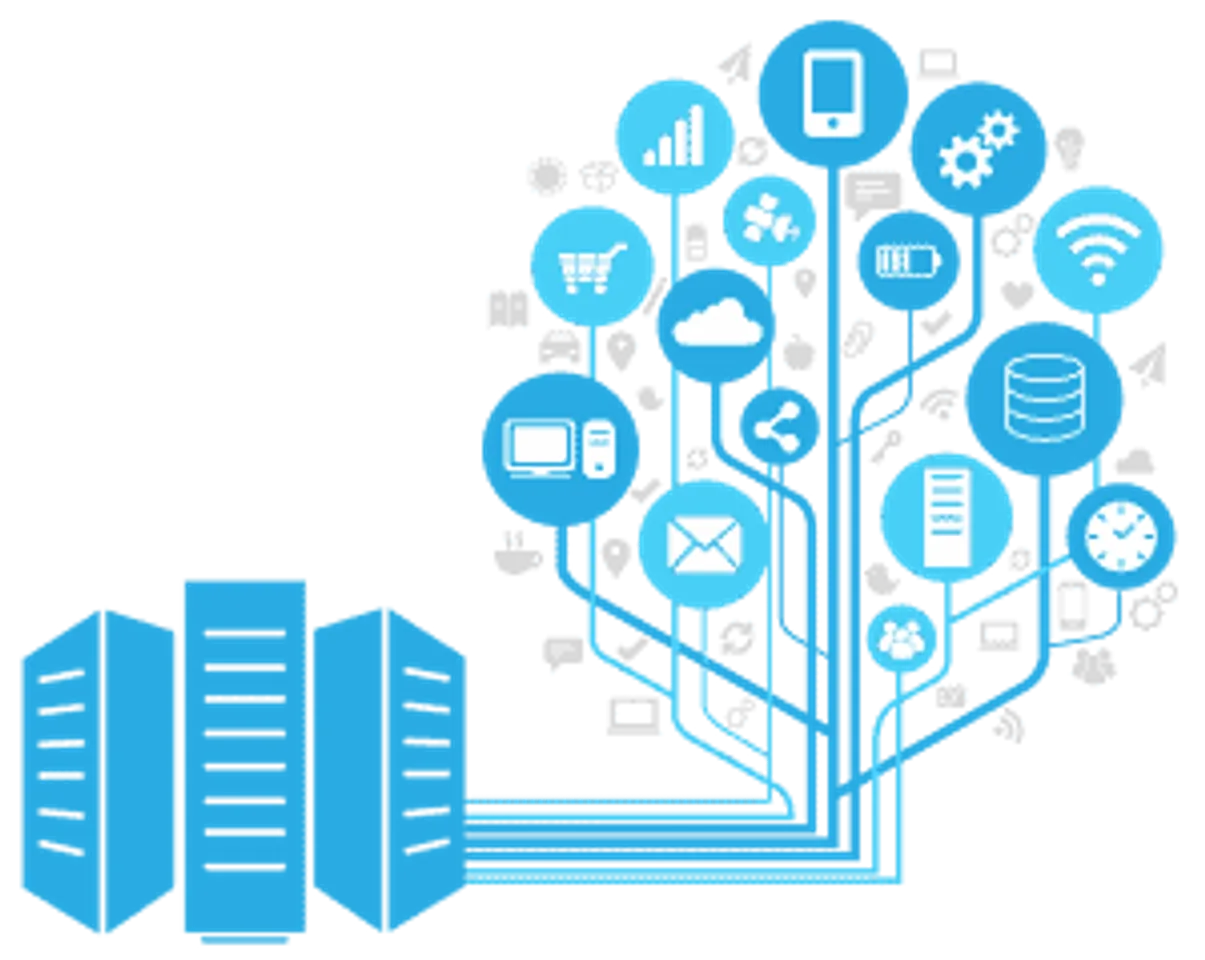 data-management
