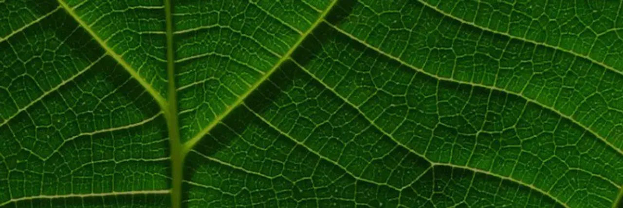 Hydrogen