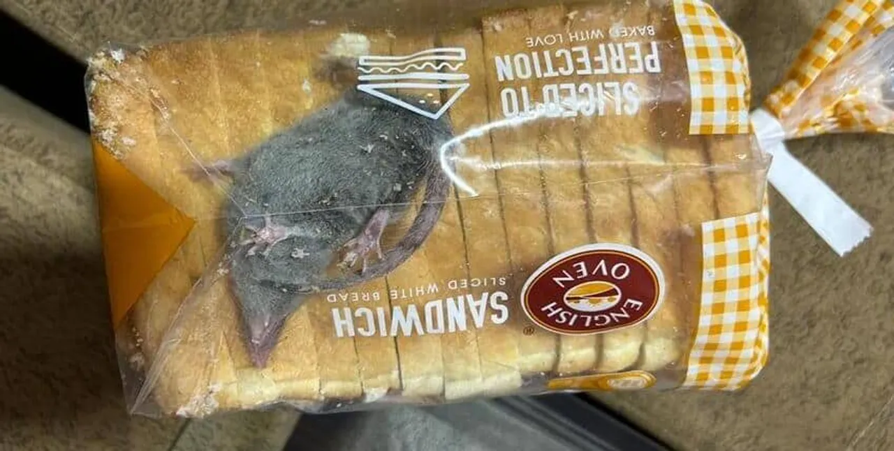 Blinkit Rat Delivery