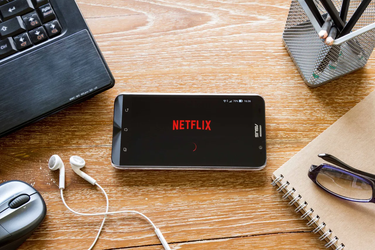 netflix translator test english language primary compressor