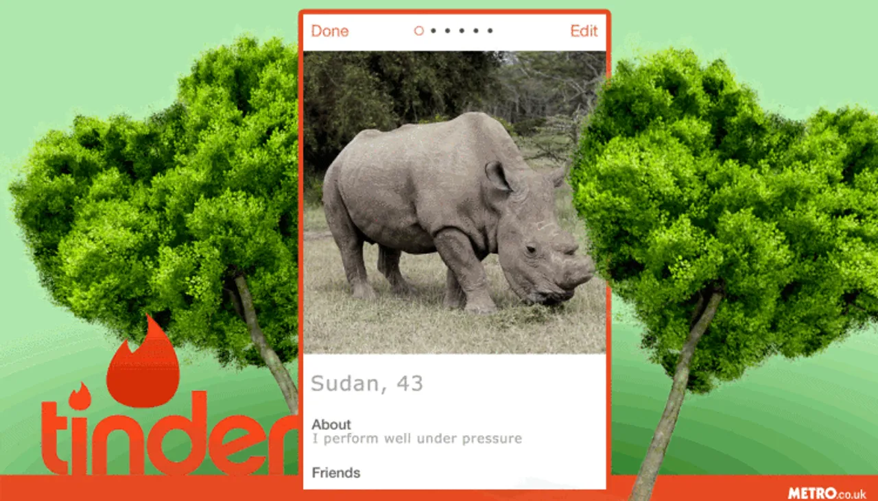 mg tinder rhino phone