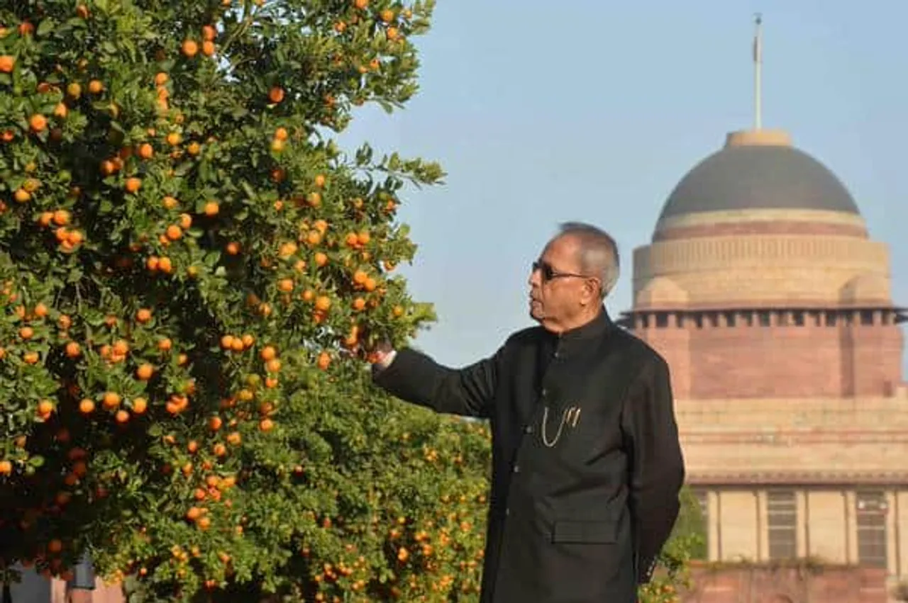 Pranab Mukherjee Inaugurates Jakson Solar Power Plant at Rashtrapati Bhawan