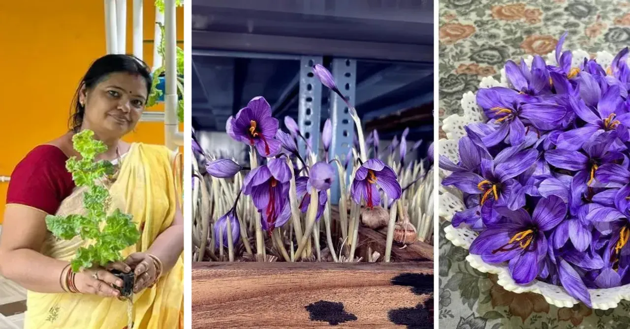 Once told saffron grows only in Kashmir, Sujata Agarwal set out to prove otherwise in her Odisha home.