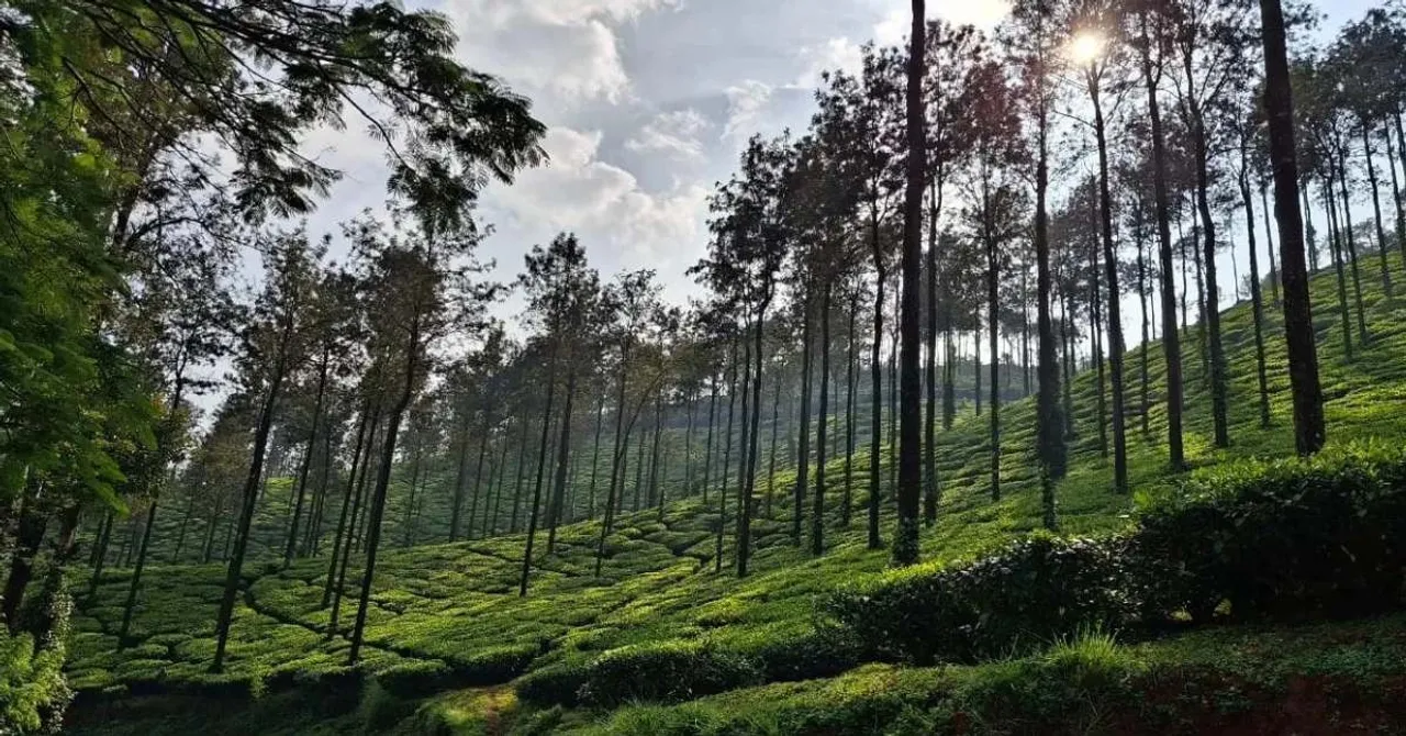 Explore the serene hills, coffee estates, and scenic treks of Chikkamagaluru in just four days on a budget