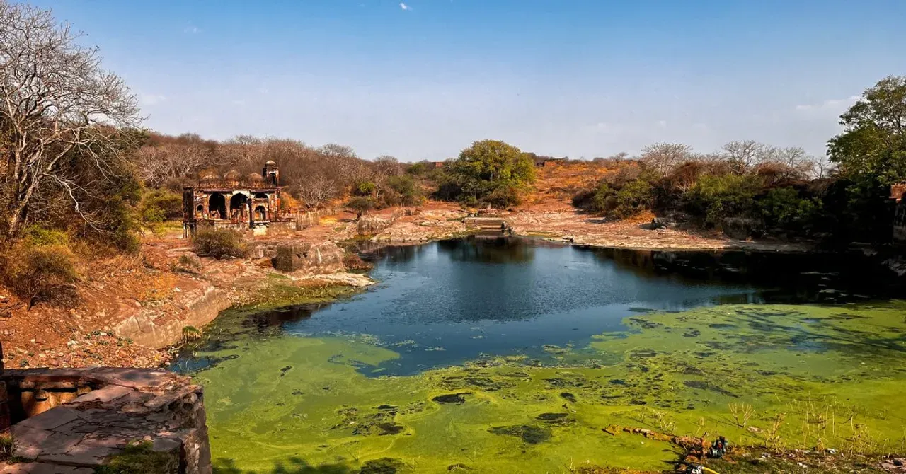 Ranthambore Fort, built by Chauhan kings in the 10th century, holds tales of sieges, Jauhar, and the Trinetra Ganesh Temple.