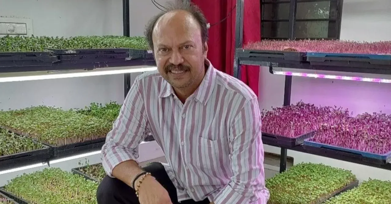 Ajay maintains a controlled room under 25°C to grow fresh, nutrient-rich microgreens year-round.