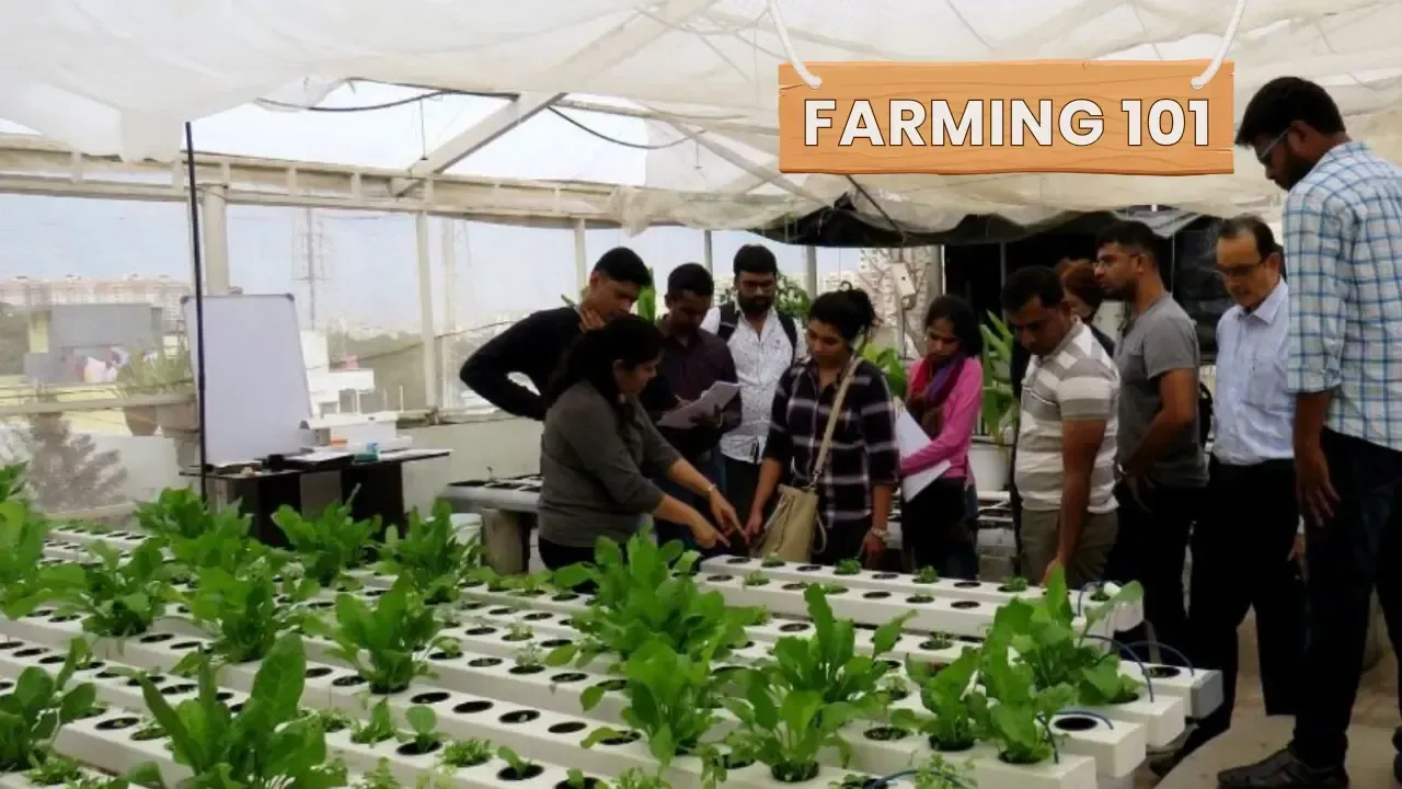 Your home can be a farm too. Aquaponics lets you grow lettuce, tilapia, strawberries — all with less space & water.