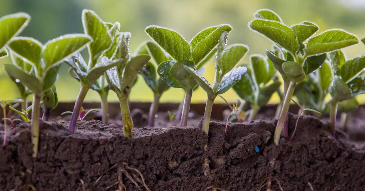 natural soil recharge after monsoon