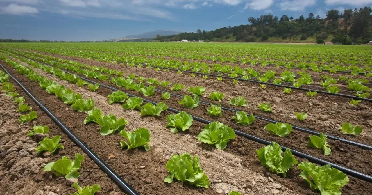 TBI FEATURED IMAGE (91)