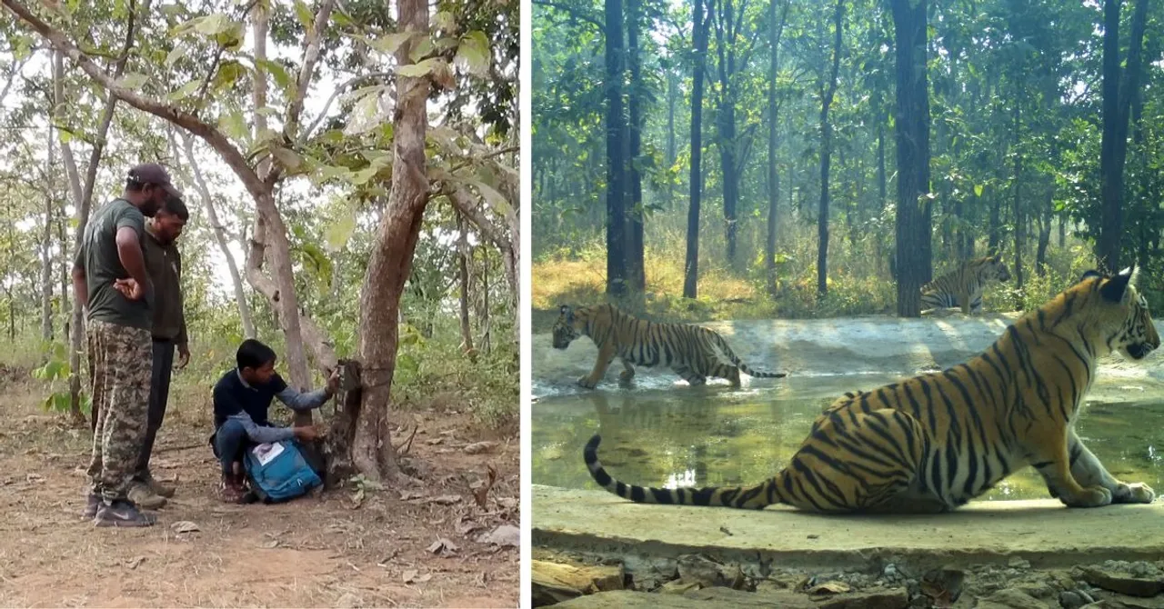 The Urban Tiger Volunteer Programme empowers Bhopal’s youth to safeguard their forests