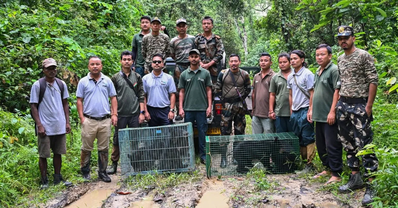 The Asiatic black bear rehabilitation team at IFAW-WTI CBRC
