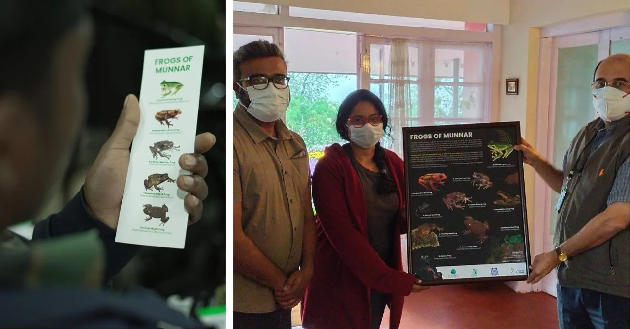 amphiian recovery project (1)