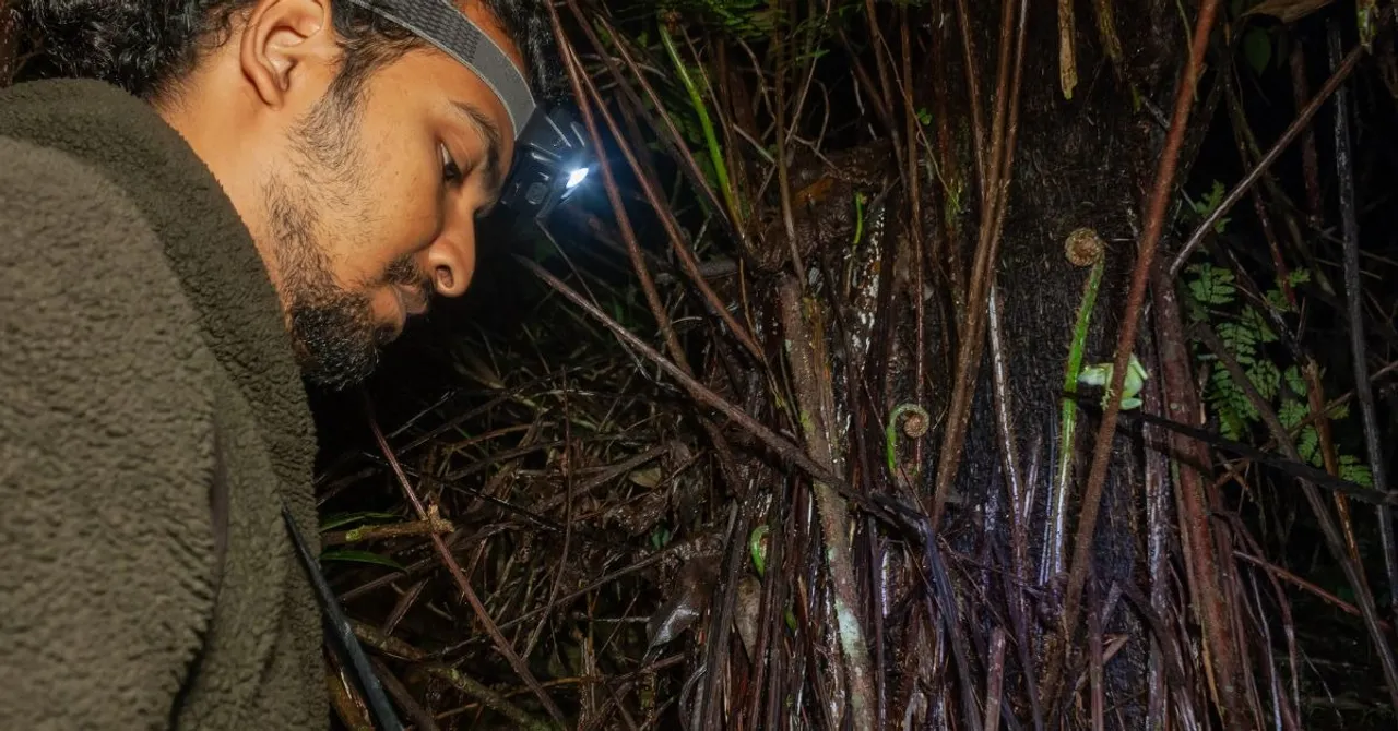 amphiian recovery project (6)