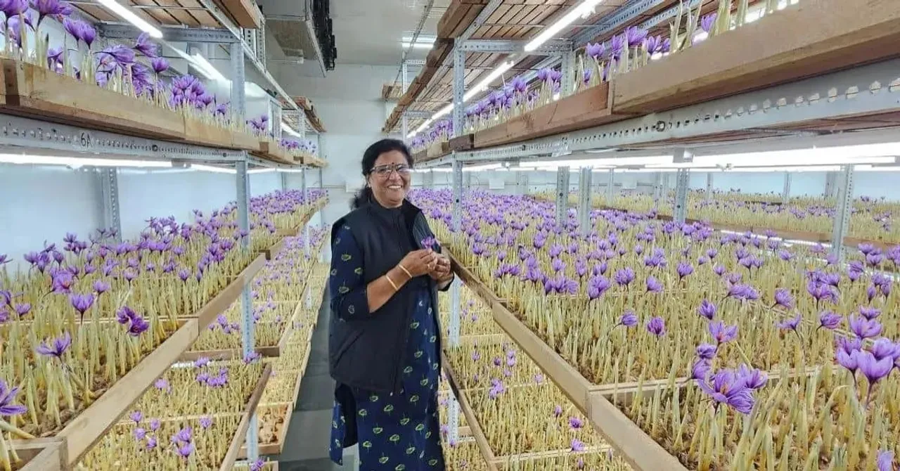 Shubha Bhatnagar saffron IoT farming