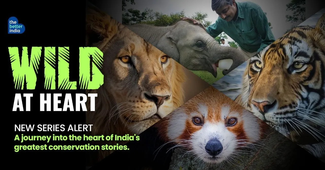 wildlife conservation