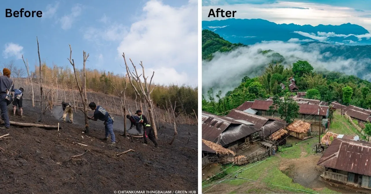 wildlife conservation (3)