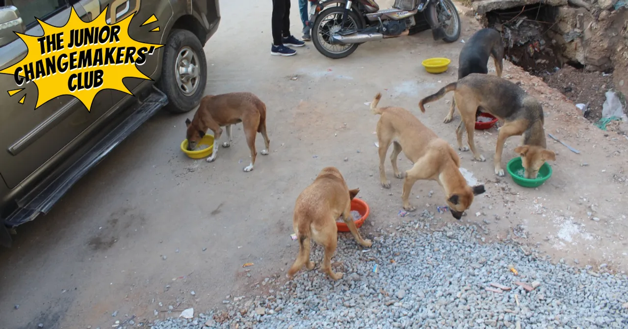 Zohar and his classmates fitted 100 stray dogs near their Bengaluru school with reflective collars to keep them safe at night.