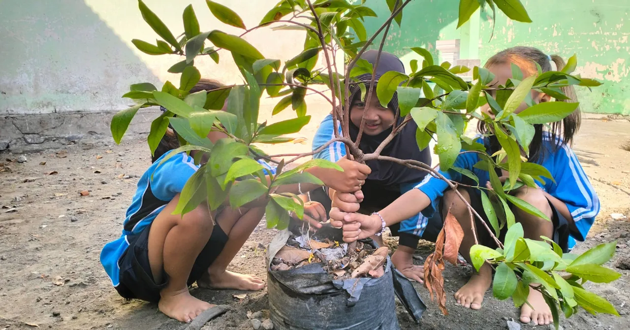 winter survival plants