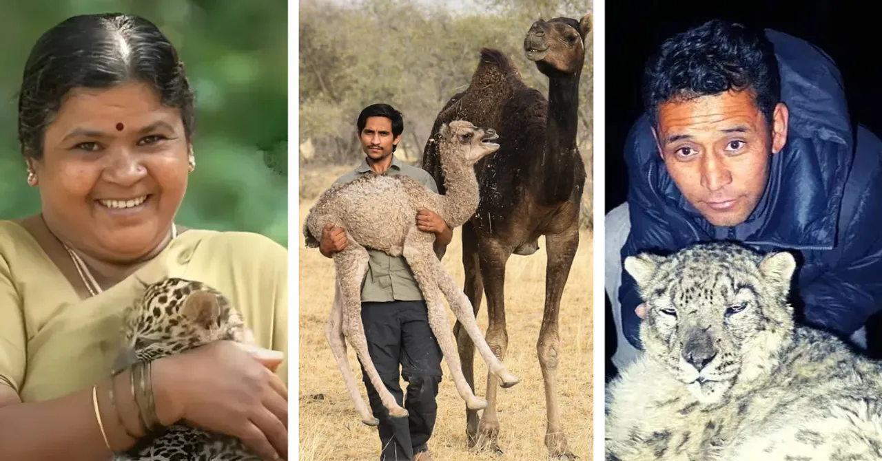 These wildlife heroes across India safeguarded species, restored habitats, and inspired coexistence in 2025.