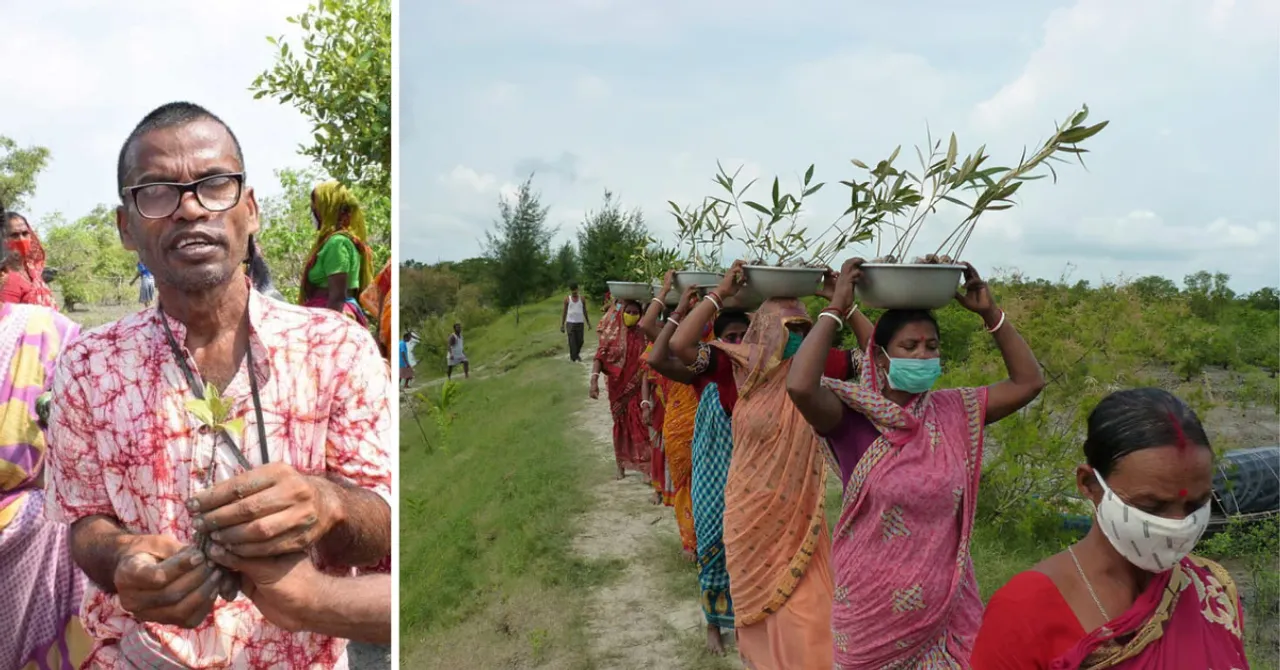 Led by Akul Biswas, 200 homemakers came together to revive mangroves across 23 Sundarbans villages.