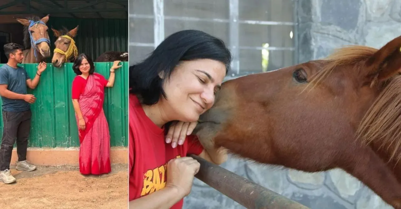 animal welfare on pilgrimage routes