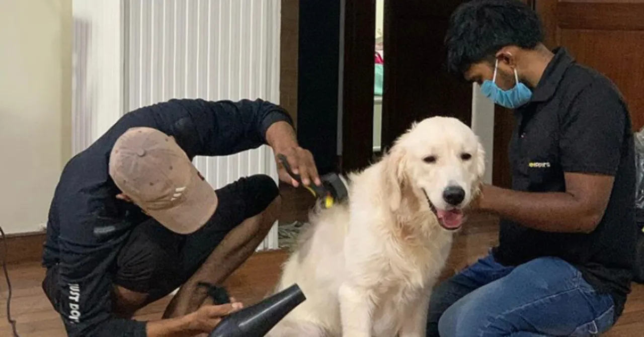 PetPipers pet groomers