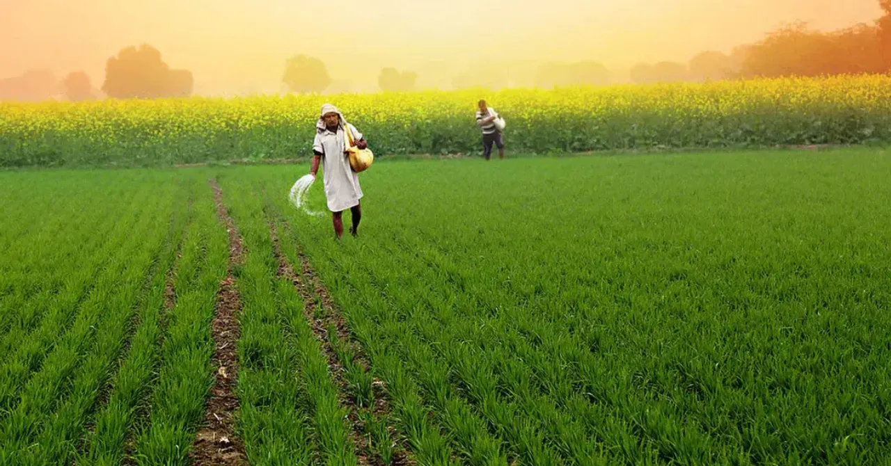 Sustainable rabi season farming