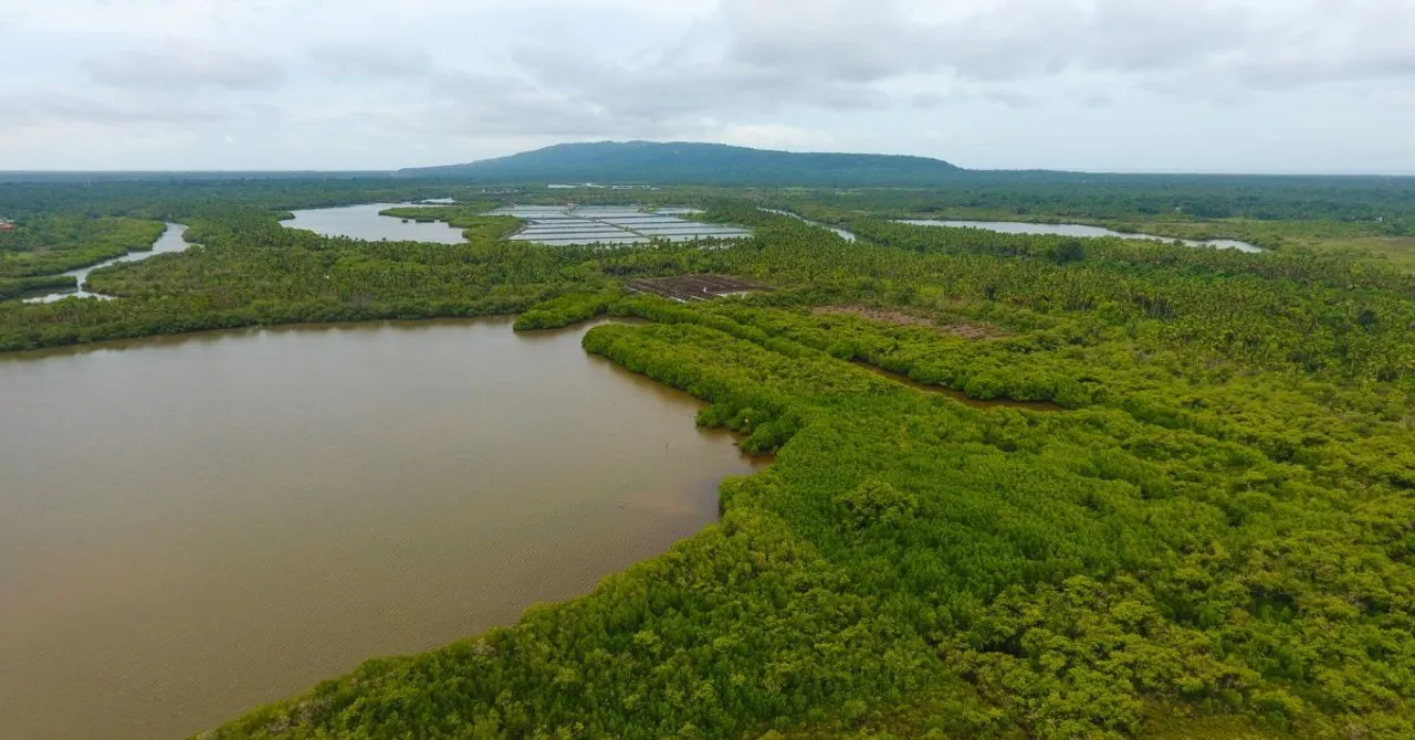 kannur kandal project (1)