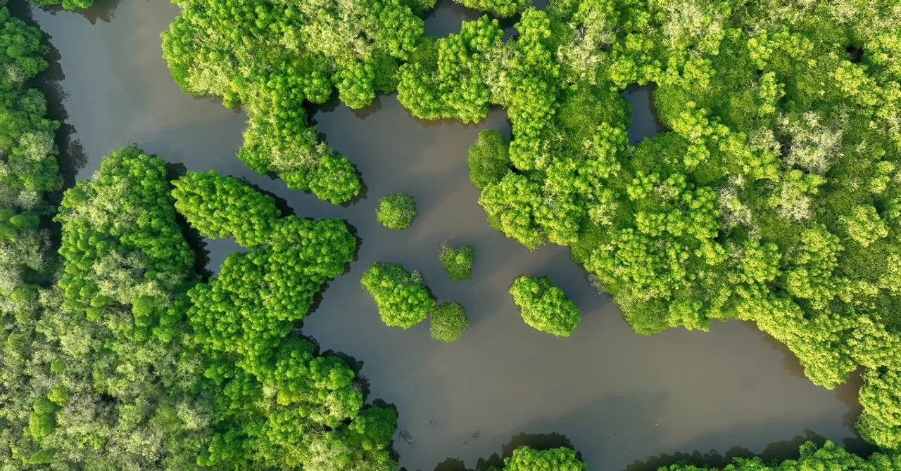 kannur kandal project (2)