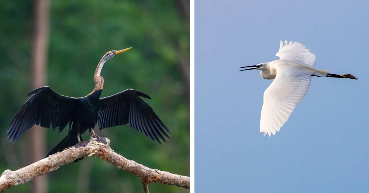 kannur kandal project