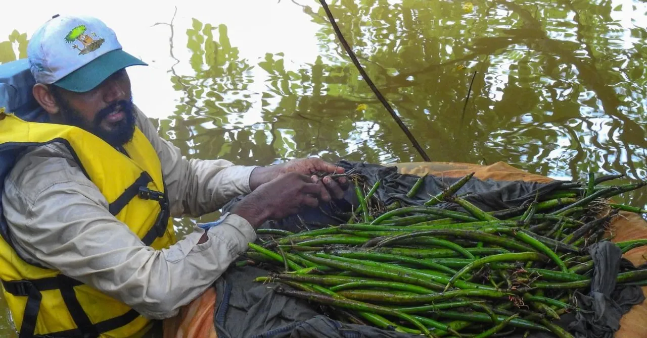 kannur kandal project (7)