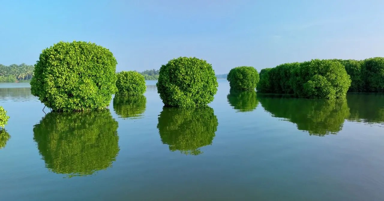 kannur kandal project (8)