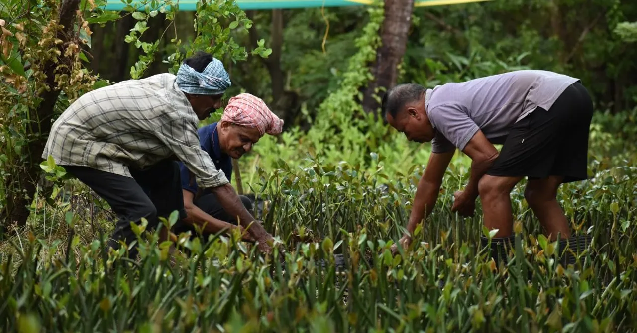 kannur kandal project (9)