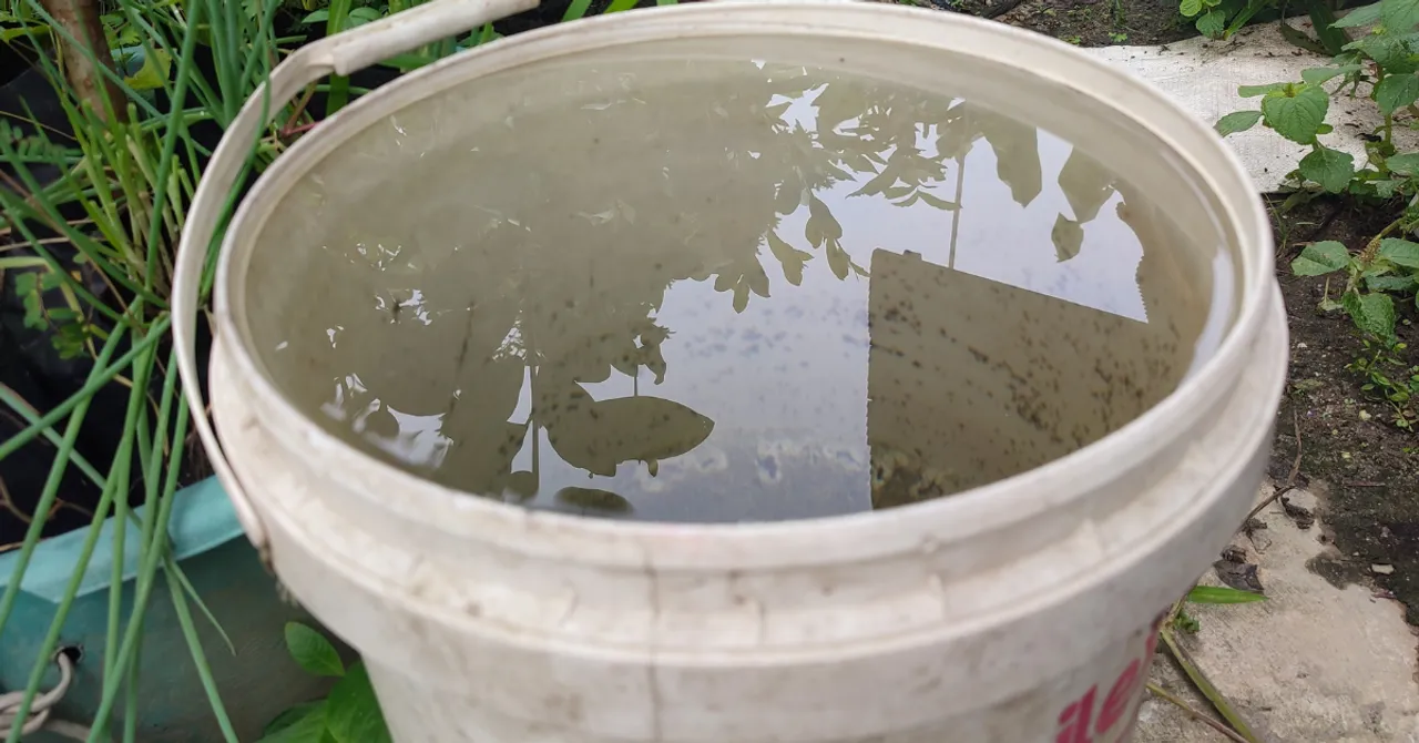 winter water saving tips