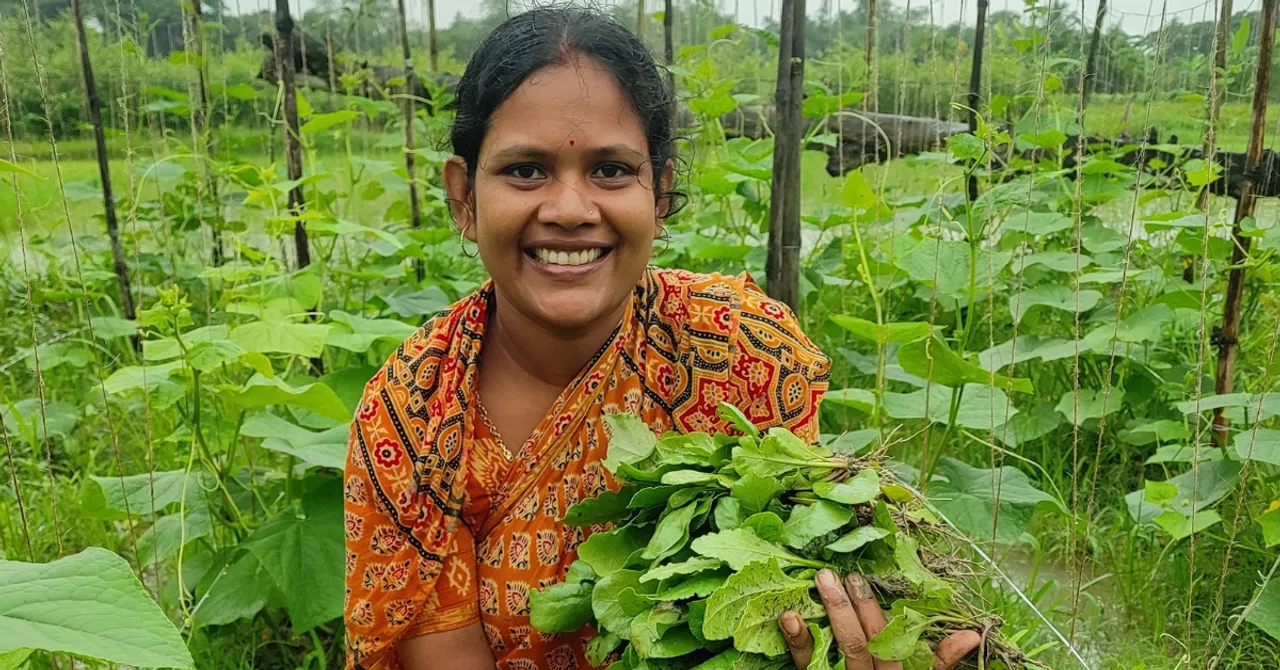 high value winter crops