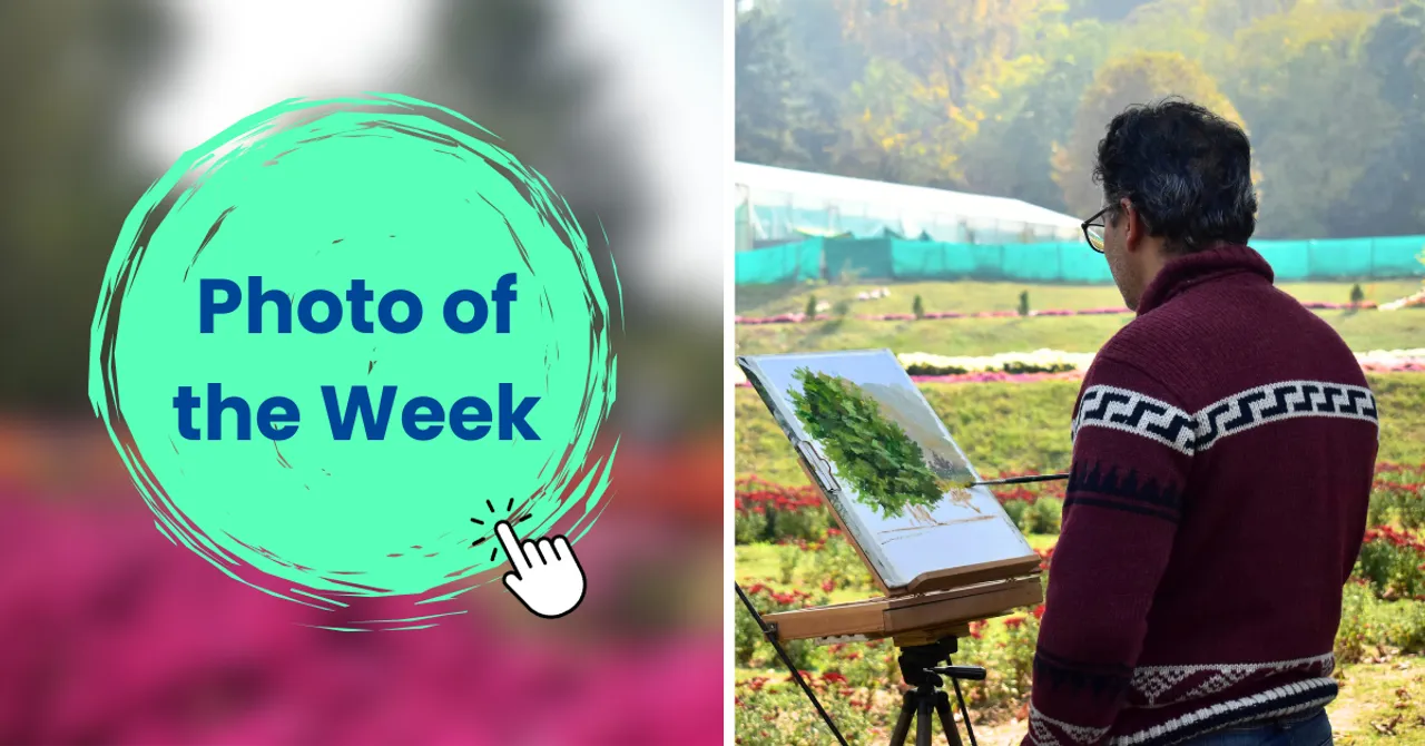 People walk through flower-lined paths in Srinagar's new chrysanthemum garden.