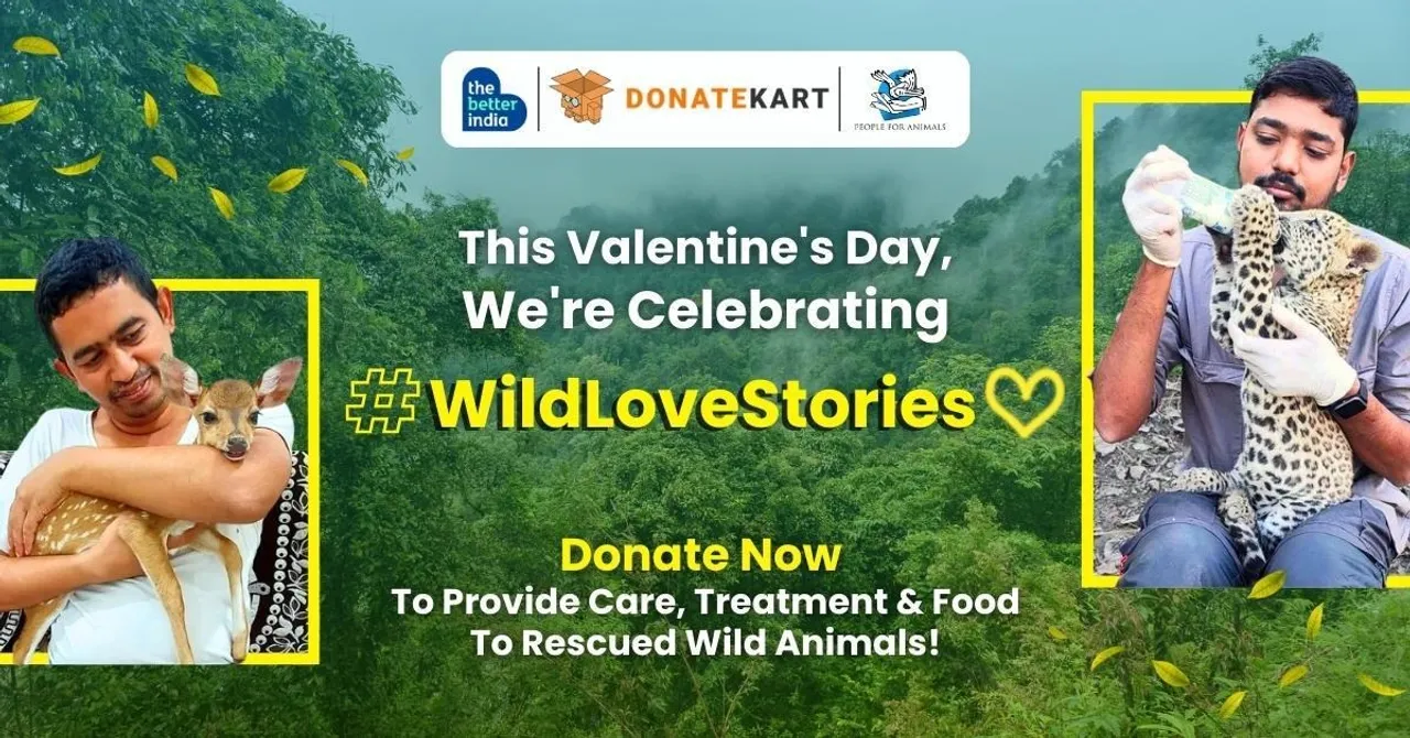 PfA Wildlife Rescue and Rehabilitation Center in Wardha takes care of the rescue, treatment and rehabilitation of wild animals.