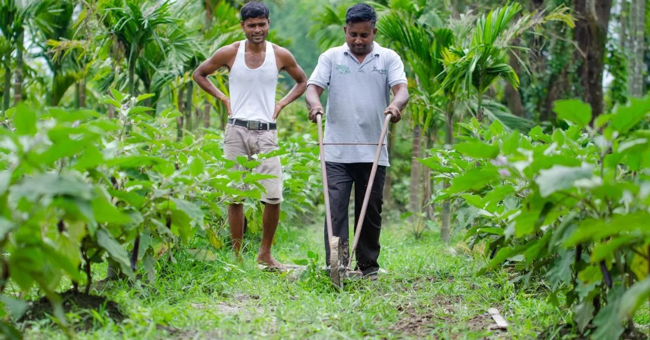 manas national park (7)